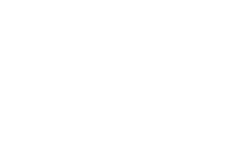 trendyvai main logo
